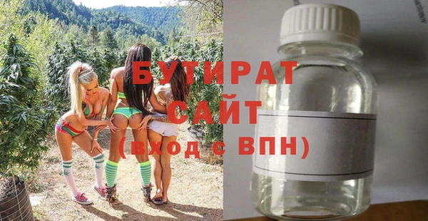 гашик Гусь-Хрустальный