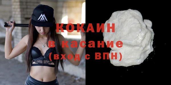 гашик Гусь-Хрустальный