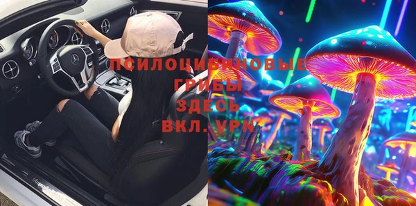 мескалин Гусиноозёрск