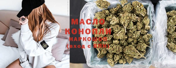 гашик Гусь-Хрустальный