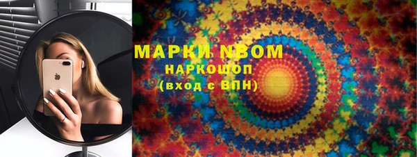 гашик Гусь-Хрустальный