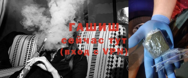 гашик Гусь-Хрустальный