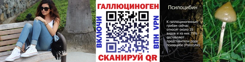 Галлюциногенные грибы Psilocybine cubensis  где найти наркотики  это состав  Альметьевск 